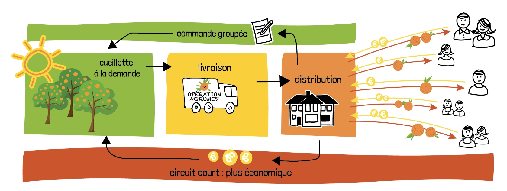 schéma d'une opération agrume de la commande à la distribution